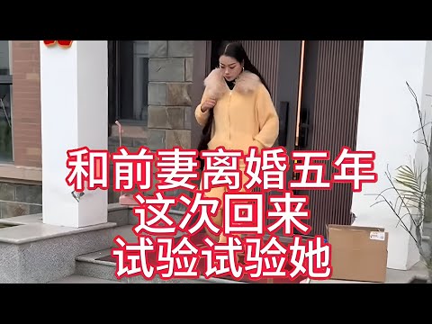 离婚五年后，我决定再试一次前妻
