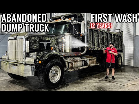 Disaster Barnyard Find | Extremely Moldy Truck | First Wash In 12 Years! | Car Detailing Restoration