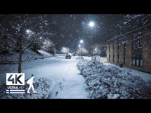 Super Early First Snowfall 🌨️ Night Walk in Finland - Slow TV 4K