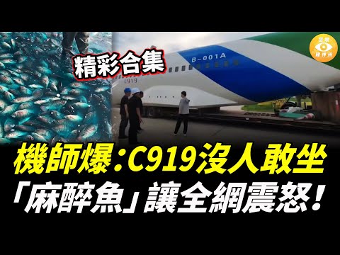 【精彩合集】機師爆：C919沒人敢坐；「麻醉魚」讓全網震怒！