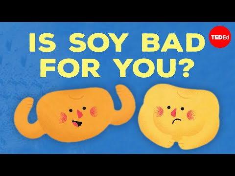 Is soy bad for you? - Francesca Bot