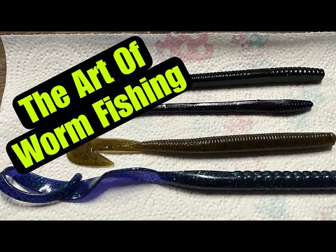 The Forgotten ABC’s Of Plastic Worm Fishing For Bass…