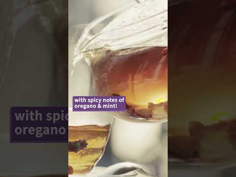 Wild Teas to Forage This Spring! 🍵