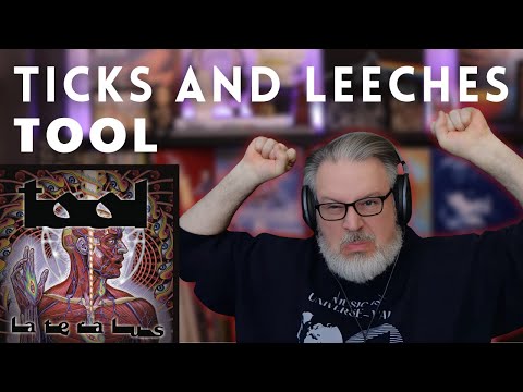 This Song Sent Me Into Orbit! Reacting to TOOL: TICKS AND LEECHES | The Daily Doug (Episode 912)