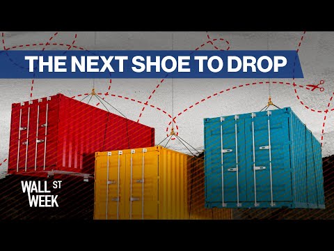 Larry Summers' Tariff Analysis, US Sovereign Wealth Fund, TikTok | Wall Street Week