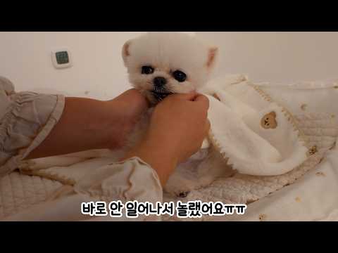 Fainting 12 Times a Day? We'll Get Back Up 12 More!