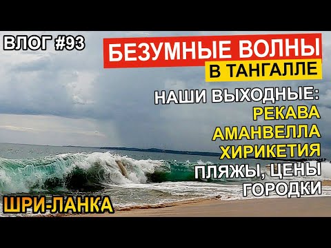 Шри-Ланка за Тангалле: Далеко заехали! Путешествия выходного дня. Наш Семейный Лайв Тревел Влог