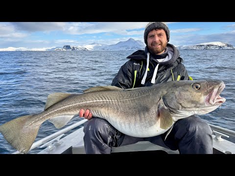 We have never seen so many MONSTER COD!!! Deep Sea Fishing inside Arctic Circle | The Fish Locker