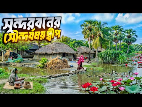 সুন্দরবনের রহস্য ও সৌন্দর্যের দ্বীপ (আই প্লট) | The Mysterious island of Sundarban