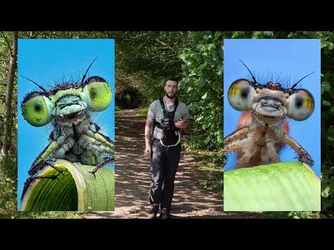 Handheld High Magnification Macro Photography Tips in the Field | Laowa Macro Master Class