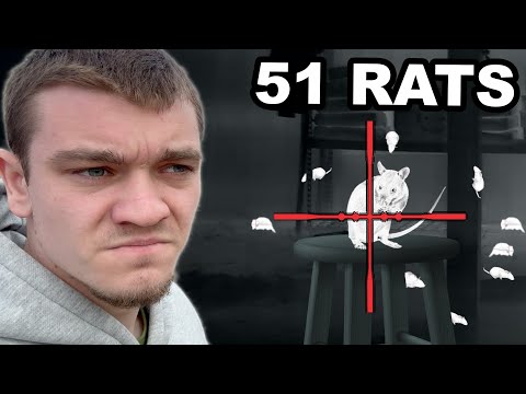 Hunting Down the Nasty Rats that Invaded My Barn!