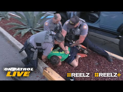 11 Wildest Florida Man Moments Caught on Camera