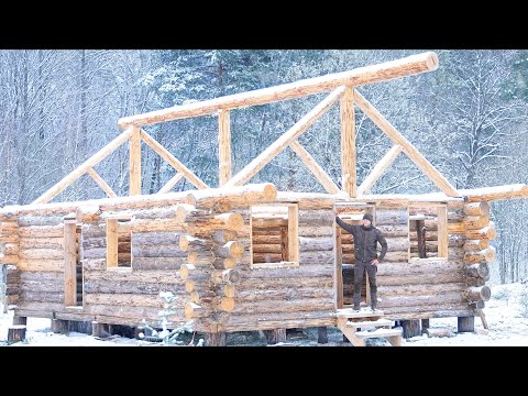 1 Year Alone Building a Log Cabin ​​In The Forest With My Dog / Start to Finish