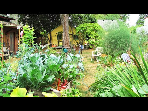 Backyard Ecosystems: A Homesteader's Guide to Permaculture