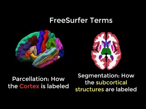 FreeSurfer  #1: Introduction