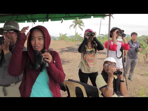 Raptor Migration 2016