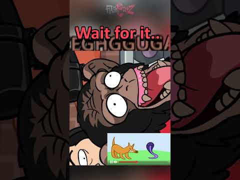 Joe Rogan interviews a relative 💀