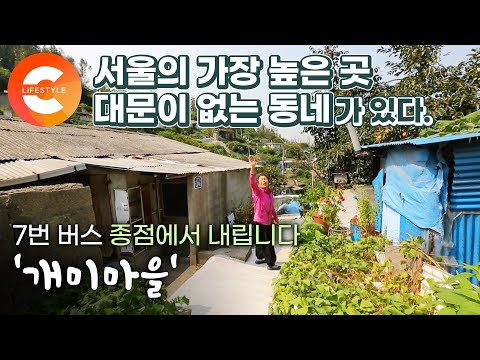 “집 팔고 여기로 와요” 서울의 가장 높은 곳에서 서울을 내려다 보는 서울 같지 않은 동네. 대문은 없고 이웃은 있는 ‘개미마을’