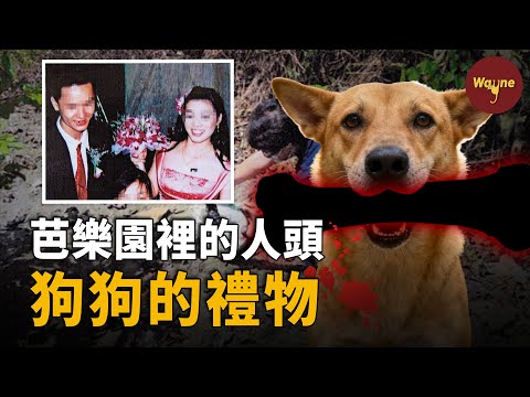 被收養的流浪狗「報案」：叼出斷臂與人頭，揭開一樁三角戀分屍案...| 台南仁德案 | Wayne調查