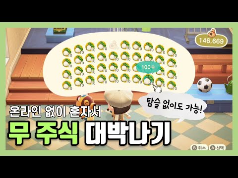 [모동숲 팁] 혼자서 무주식 손해 안 보는 방법