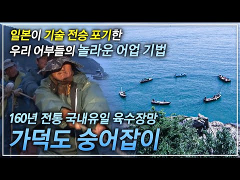 수 천 마리 물고기 떼를 잡는데 주어진 시간 단 15초, 아무나 따라 할 수 없는 놀라운 어업 방식으로 전통을 이어가는 사람들│가덕도 전통 숭어잡이│극한직업│#골라듄다큐