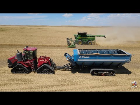 2023 Anton Colorado Wheat Harvest with Meinke Farms