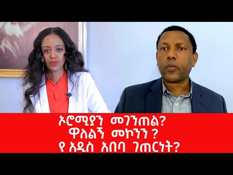 #ኦሮሚያን መገንጠል? #ዋለልኝ መኮንን ? #የ አዲስ አበባ ገጠርነት?