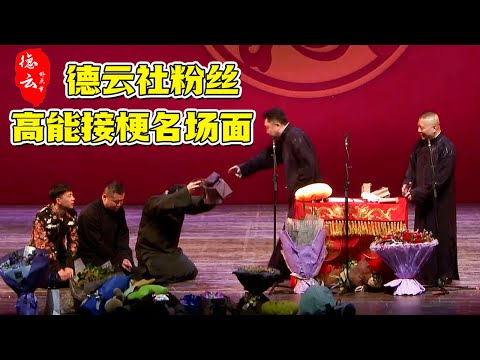德云社粉丝高能接梗名场面大盘点，让人笑到不行😄【德云那点事儿】