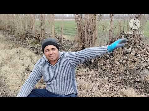 ЭРИ БИЛАН ЮРАДИГОН АЙОЛ ЮТУБДА БУЛМАГАН ШОООК ВИДЙО... 