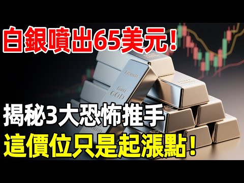 白銀噴出65美元！史詩級行情並非炒作？揭秘3大恐怖推手，這價位只是起漲點！#白銀 #財經 #理財#投資#晚年生活#晚年幸福#退休#退休生活#養老