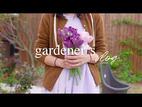 Goodbye Tulips, Hello Chaos 🌷 Online Plant Haul + Garden Reset