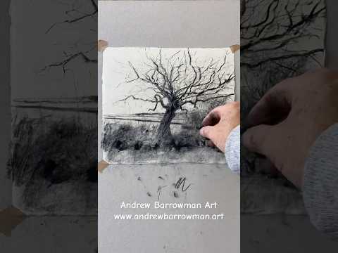 Charcoal sketch - Hawthorn tree #artwork #charcoaldrawing #charcoalonpaper