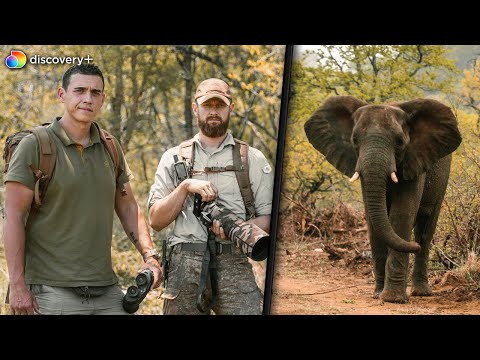 Mit Survival Mattin in Südafrika 🇿🇦 5 Tage lang suchen wir die 5 gefährlichsten Tiere | Teil 1