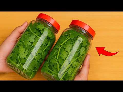 How To Store Cilantro For 1 Year Without Spoilage|Clever Tricks