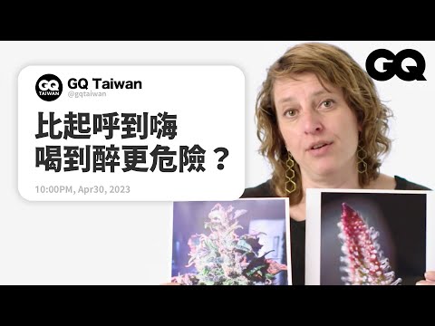 大麻發源地是哪裡？可以幫助治療癌症？「大麻科學家」解答網友問題！｜名人專業問答｜GQ Taiwan