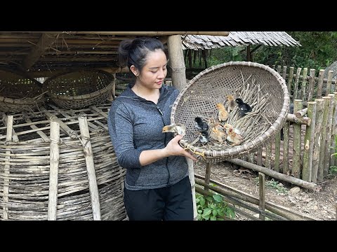 FULL VIDEO: 10 months to build a farm full of animals and a beautiful vegetable garden.