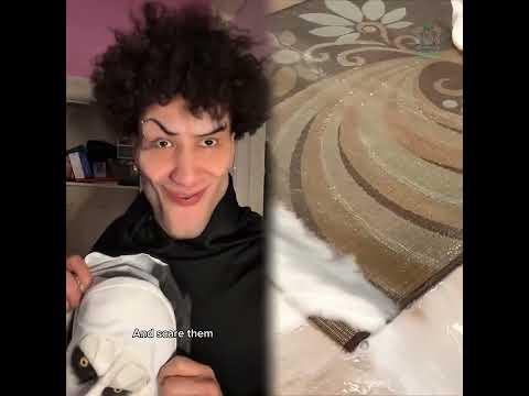 🤣👌👌👌2025 pov Must-Watch Crazy Clips Compilation #humor #fypシ #pov #fyp #foryou 😍😜