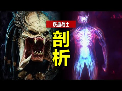 剖析 鐵血戰士：為什麼又野蠻又先進？看完你也能打贏TA！