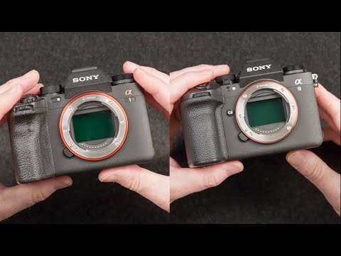 Sony A9III vs A1 a Real World Comparison
