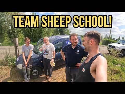 FIRST DAY BACK SHEARING - WILL OUR BACKS SURVIVE?