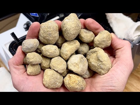 I cut 33 geodes open! (crystals inside)