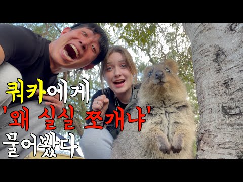쿼카한테 '왜 실실 쪼개냐' 물어보는 프랑스 아내... [호주]