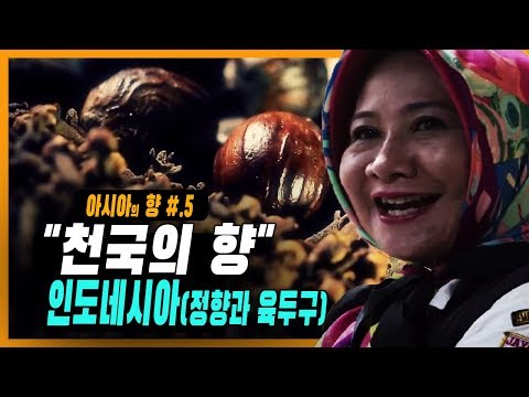 [ 아시아의 향 ] 세계 열강이 쟁탈을 벌였던 정향과 육두구 !  CNN 선정, 세계에서 가장 맛있는 요리 1,2위 렌당 과 나시고랭의 원천  [ 부산MBC 명품다큐멘터리 ]