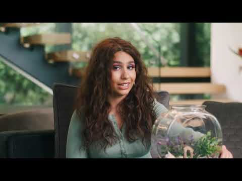 Alessia Cara - Best Days Fan Stories