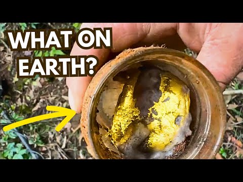 We've Found Some Weird Things Before, But This Is a FIRST!