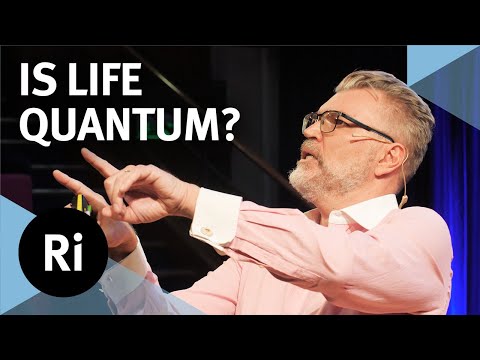 Decoding quantum reality - with Vlatko Vedral