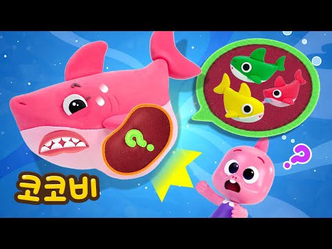 핑크 상어 뱃속에 누가 숨었니?❓ 사라진 아기 상어 가족을 찾아라!😱 | 상어 가족 동요 | 코코비