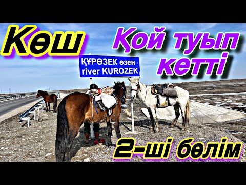 Көшіміз жалғасуда, жол батпақ сел жүріп әрең келеміз.