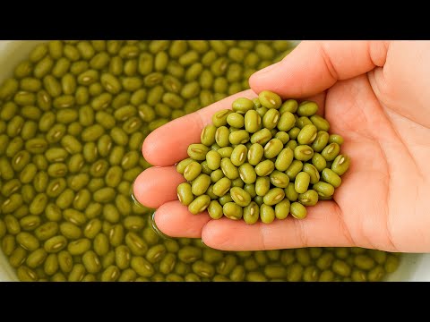Soak Your Mung Beans – The Longevity Recipe of a 97 Year Old Grandma