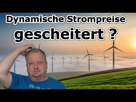 Flexibler Stromtarif mit zwei Preiszonen wirklich günstiger als dynamische Preise?
